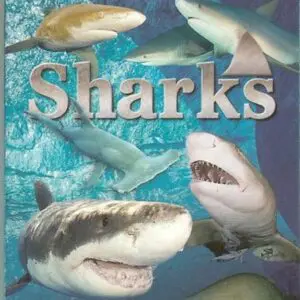 Shark-themed playing cards package