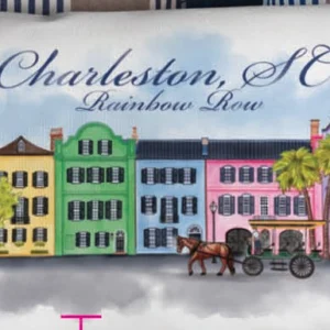 Colorful Charleston Rainbow Row illustration on pillow.