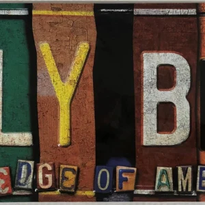 Folly Beach license plate art design.