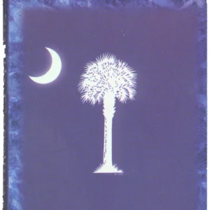 South Carolina playing cards with palmetto tree.