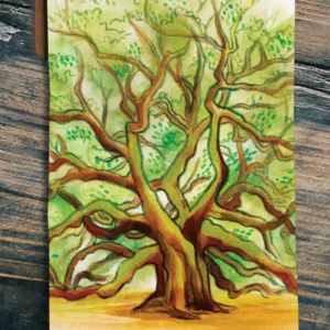Flour sack towel with Angel Oak illustration.