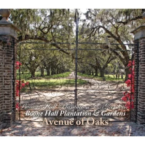 Avenue of Oaks gate view